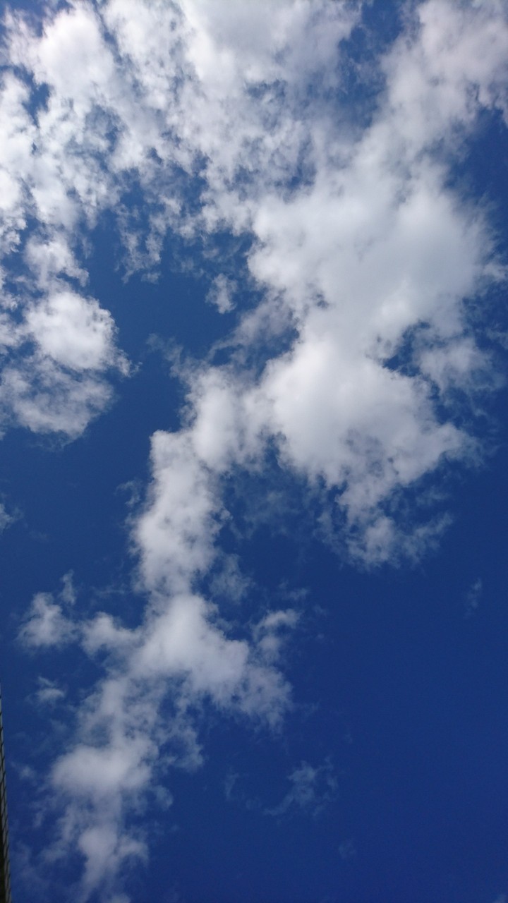 青い空