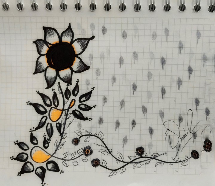 Dibujo A mano