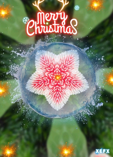 ❤️ FROHE WEIHNACHTEN ❤️