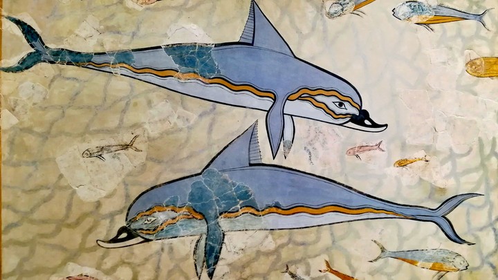 Dolphins fresco