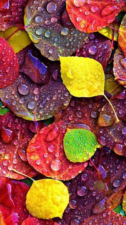 colourful