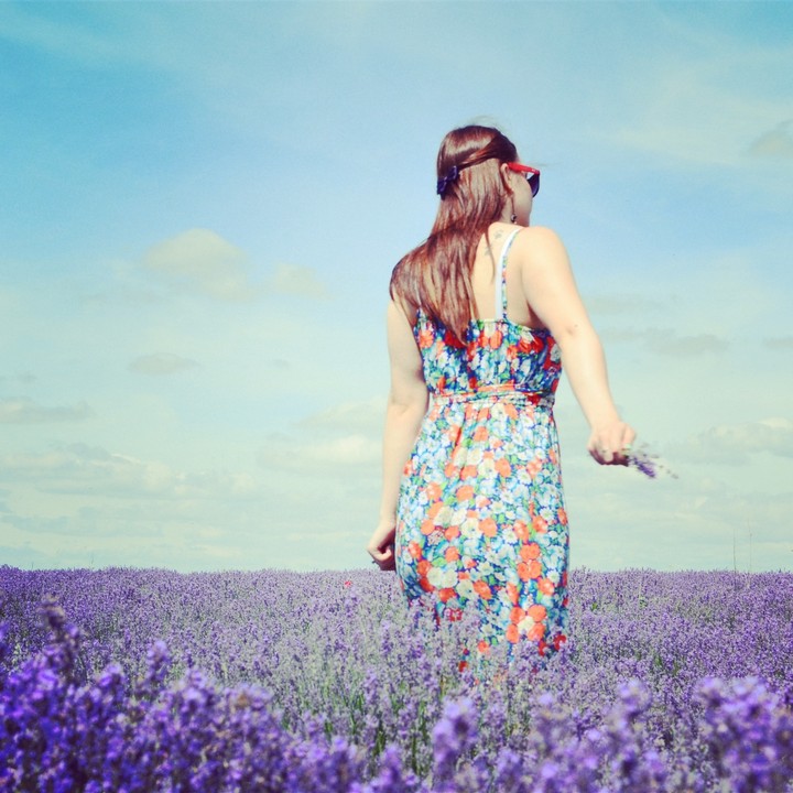 lavanda