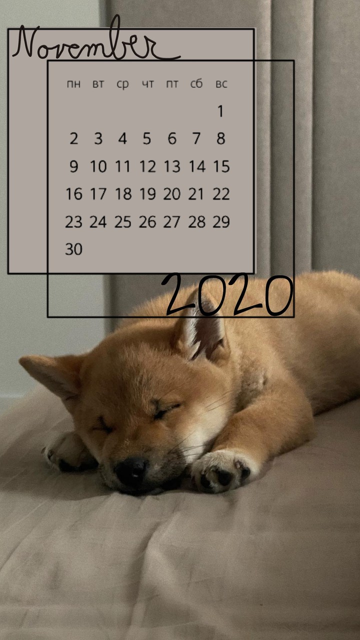 Cute November 2020