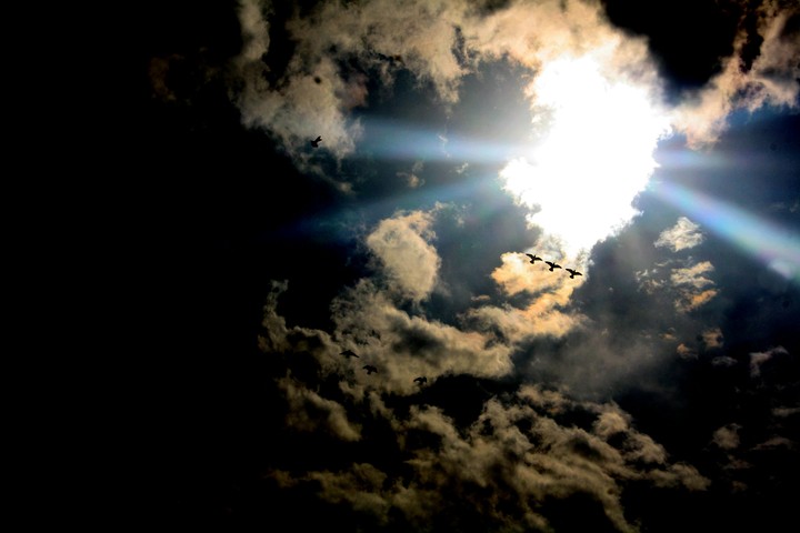 Sunlight
