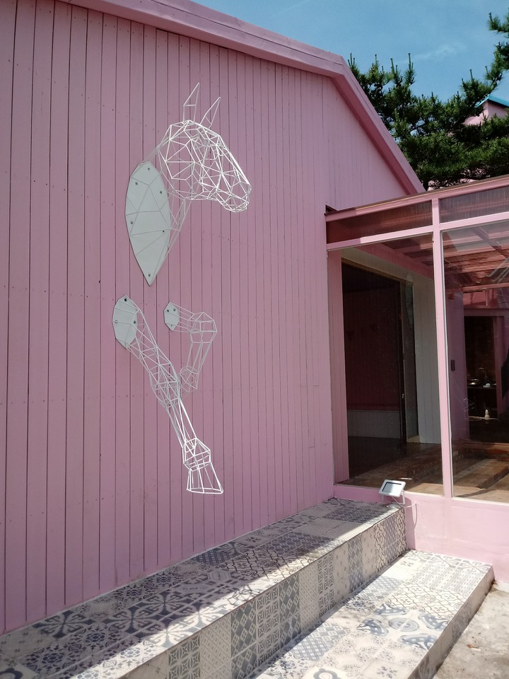 핑크빛 생기에너지 말 pink horse(feat. jeju island, 제주도)