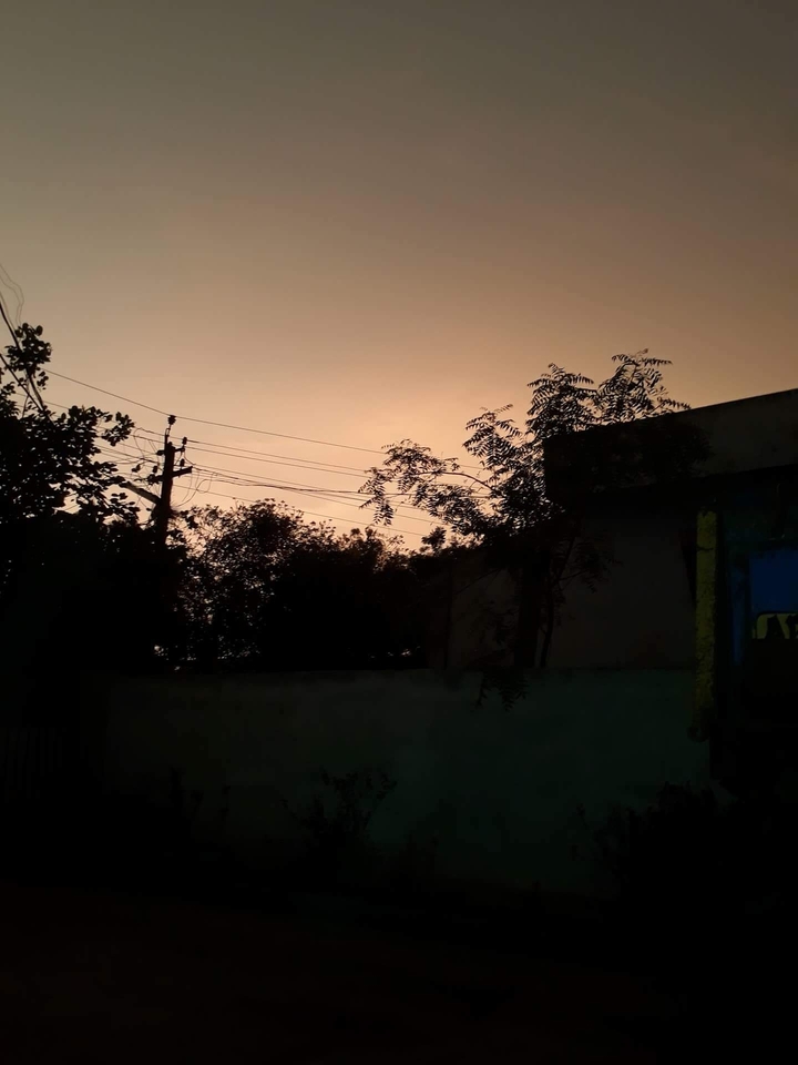 nature