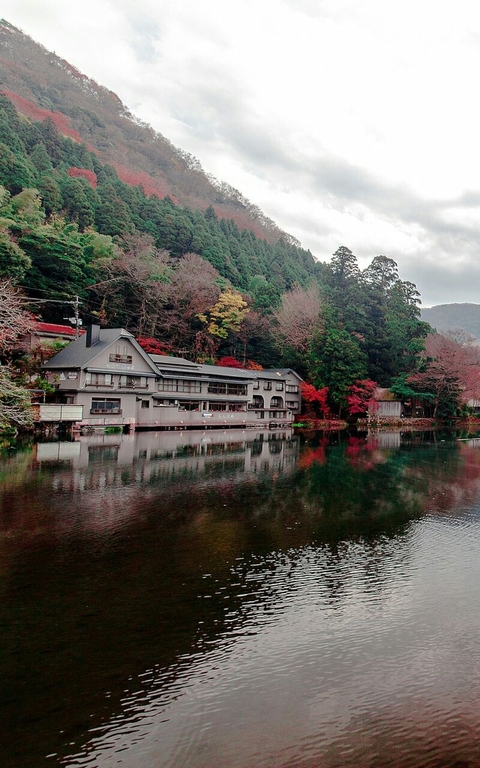 Early morning Mountain View ♡HM♡