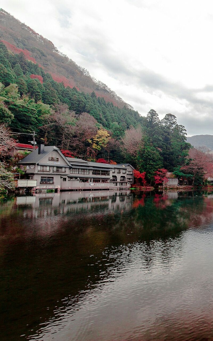 Early morning Mountain View ♡HM♡