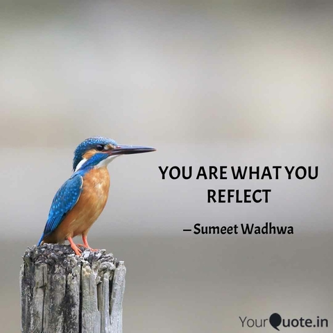 Reflect