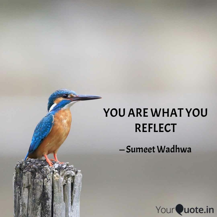 Reflect