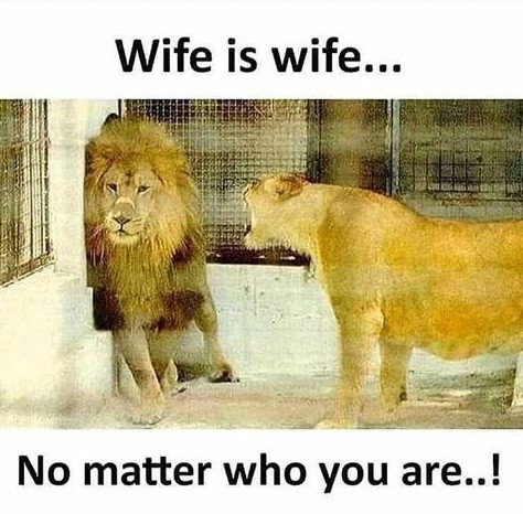 Hahaha