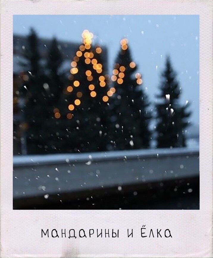 Мой новый идеальный новый год