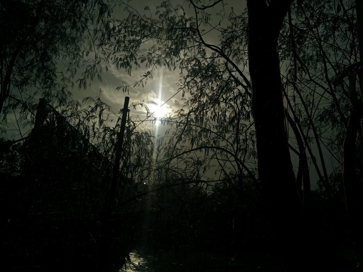Looks beatiful as a wallpaper. Just try and see yourself.