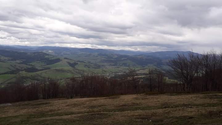 Transcarpathia