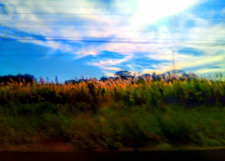Innerspeaker