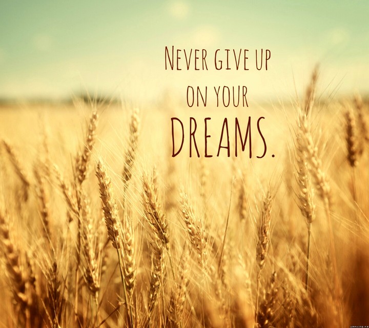 Never Give Up