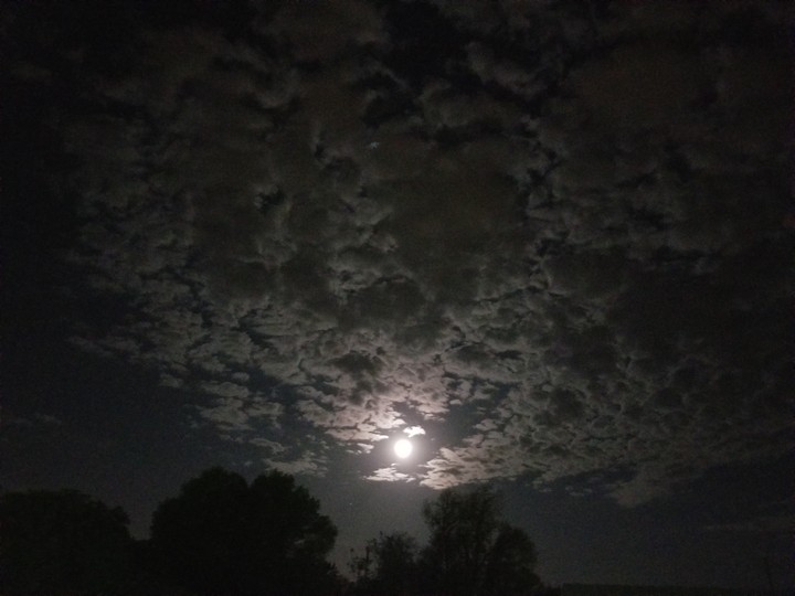 Early Morning Moon
