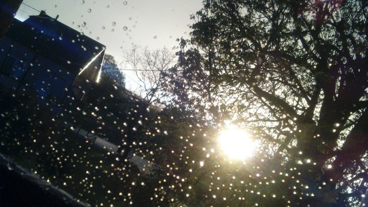 Rain
