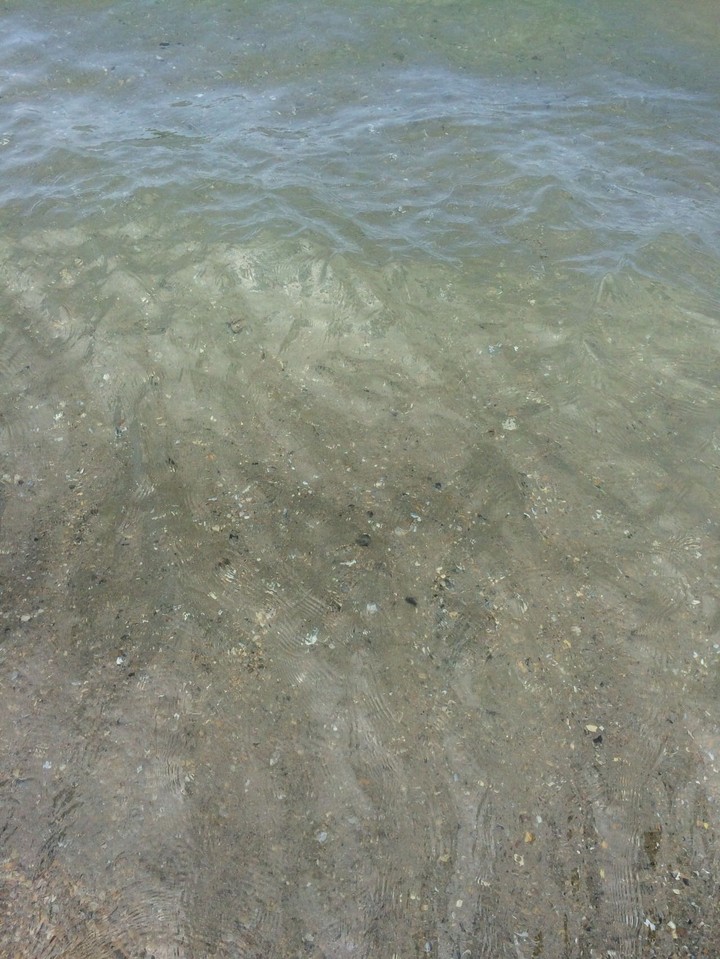 ocean