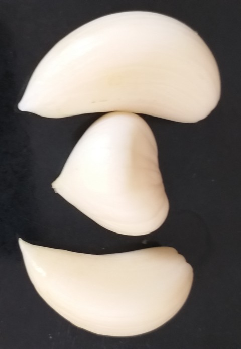 Garlic_Heart