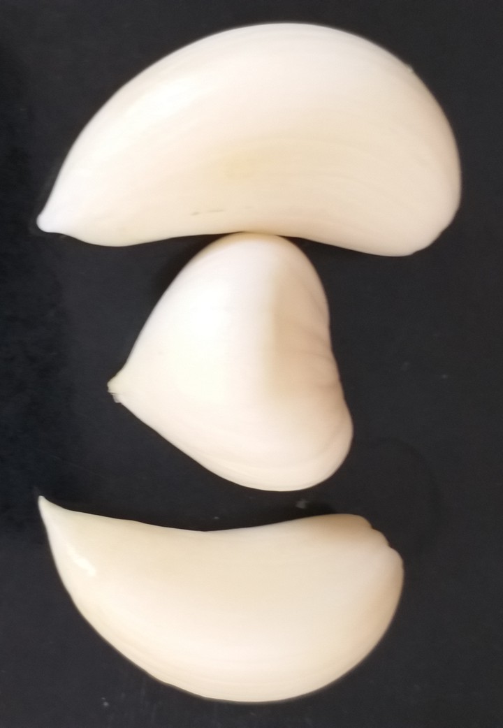 Garlic_Heart