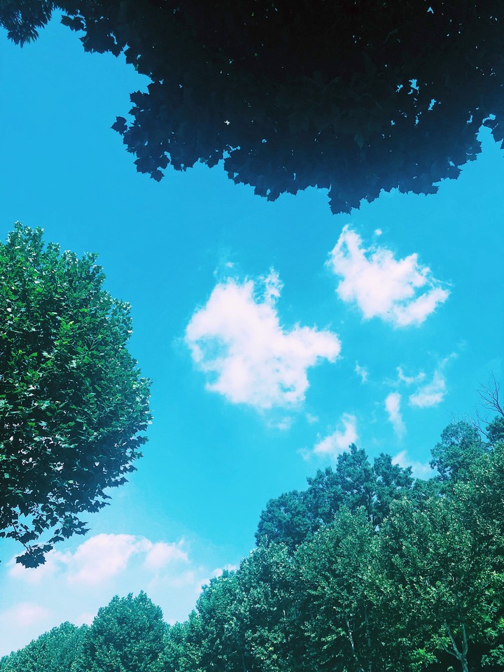 A green wood