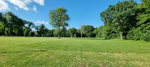 grassland, field壁纸