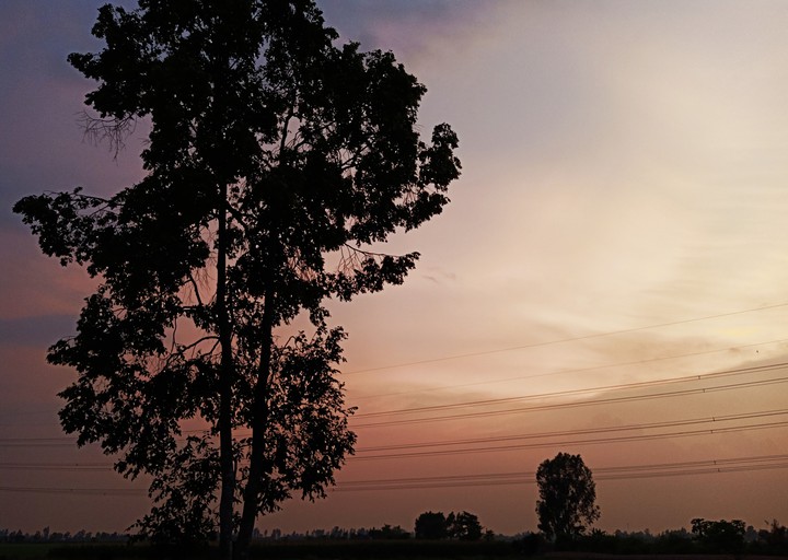sunset