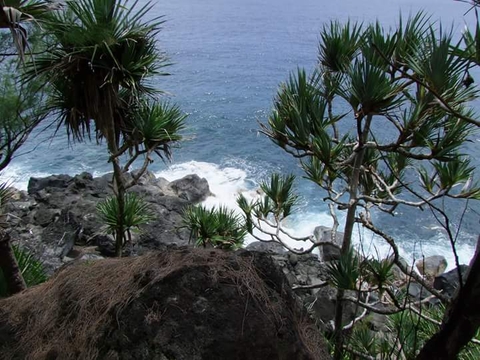 réunion