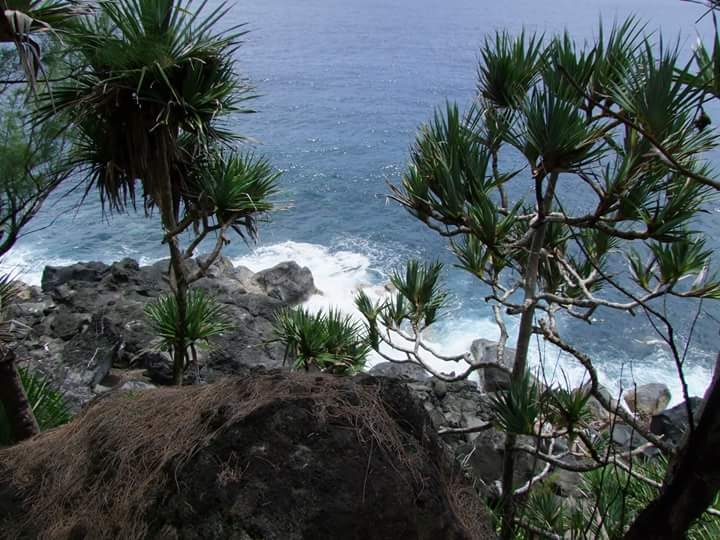 réunion