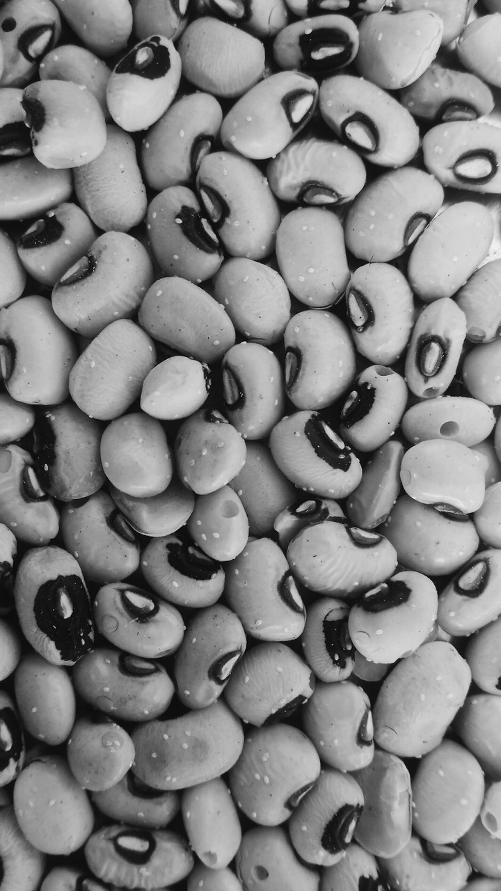 seed