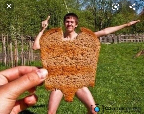 хлиб