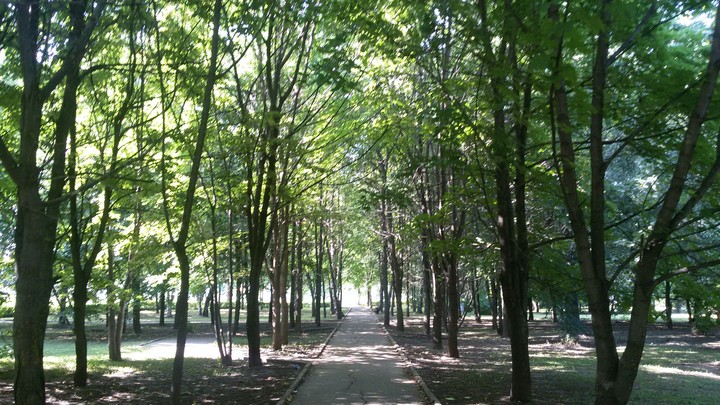 summer
