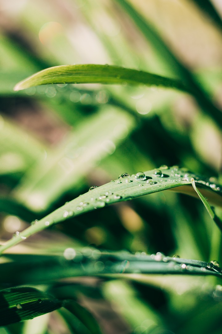 Rainy morning