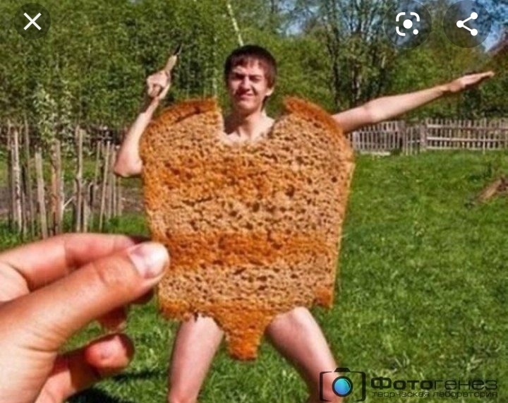 хлиб