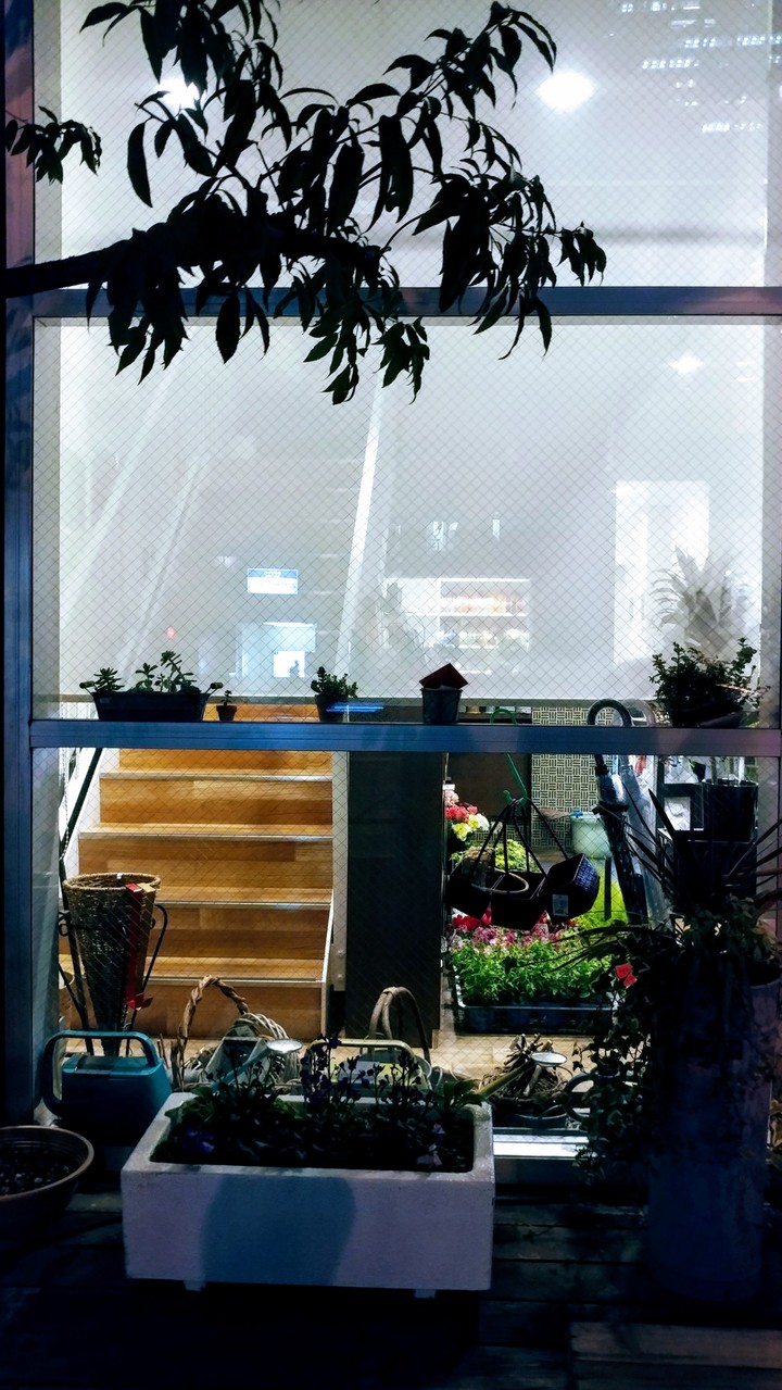 little garden