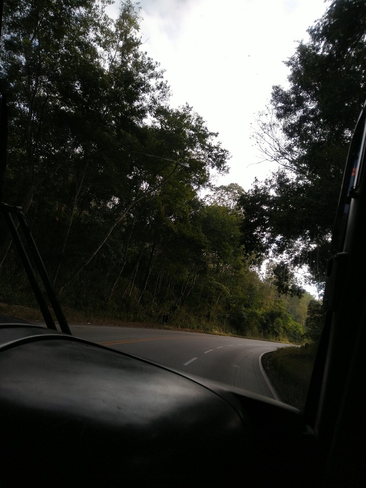 manhã