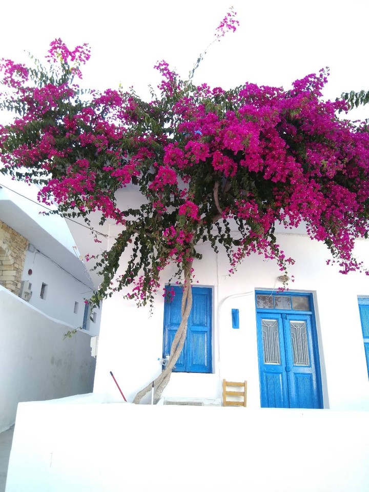 A bit more greek
