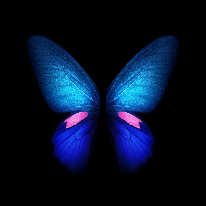 butterfly Samsung