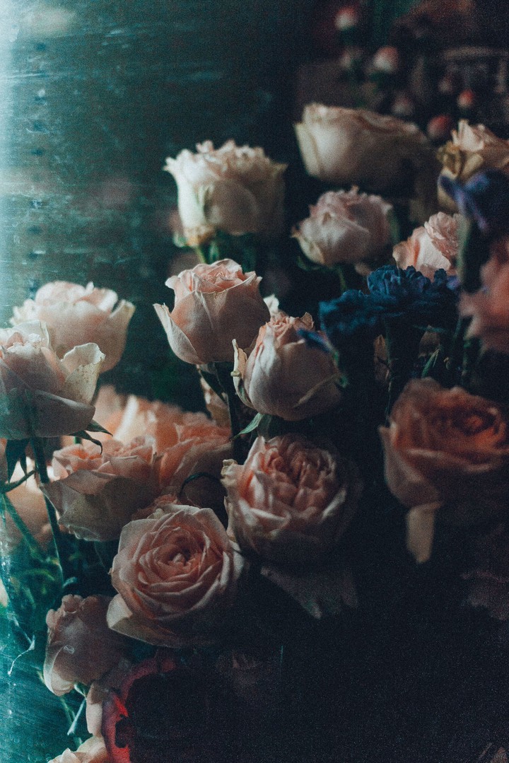 rose's