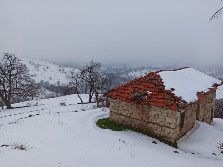 Village