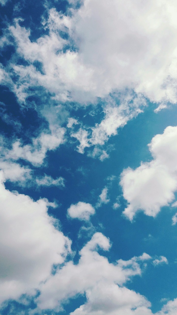 i can fly