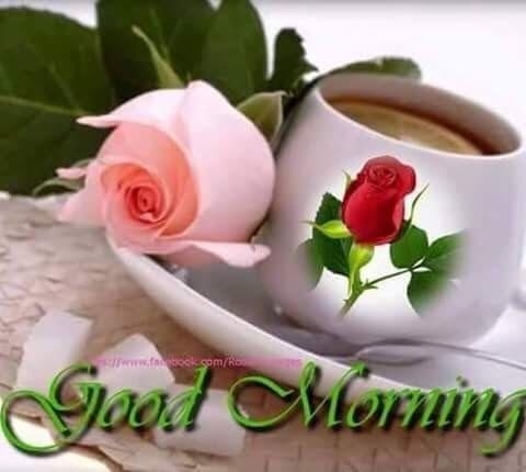 good morning