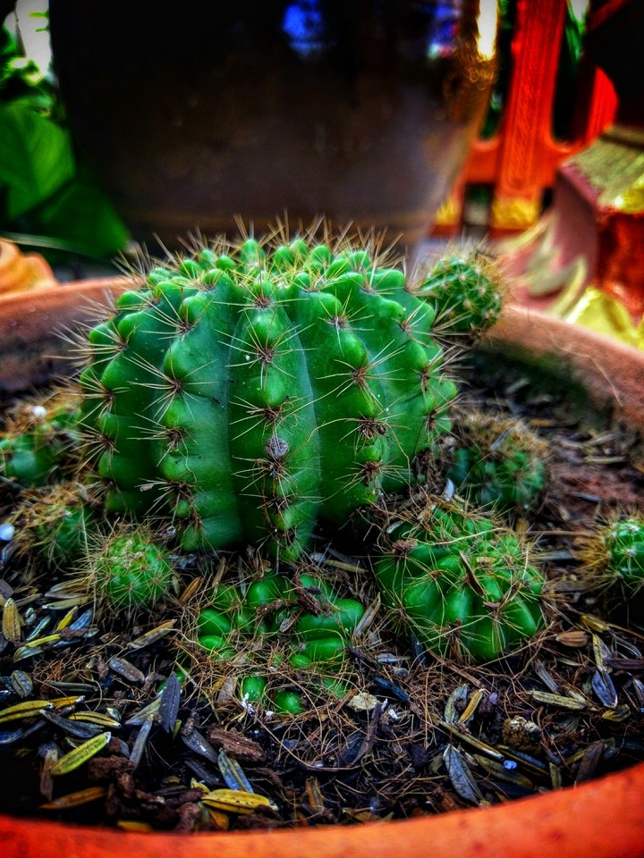 7