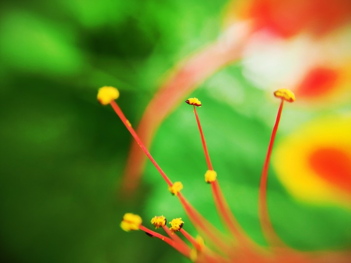 full of colour