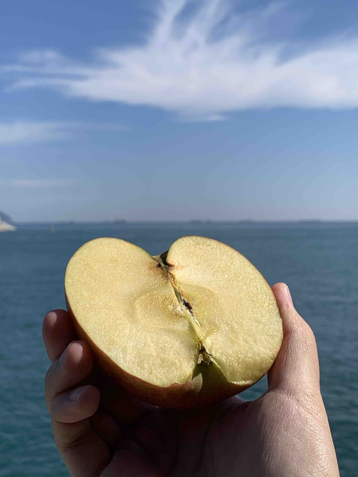 apple