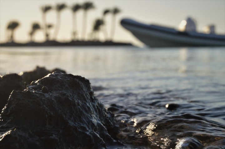 calm sunrise beach photo