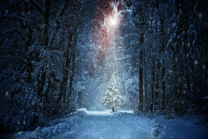 Winter