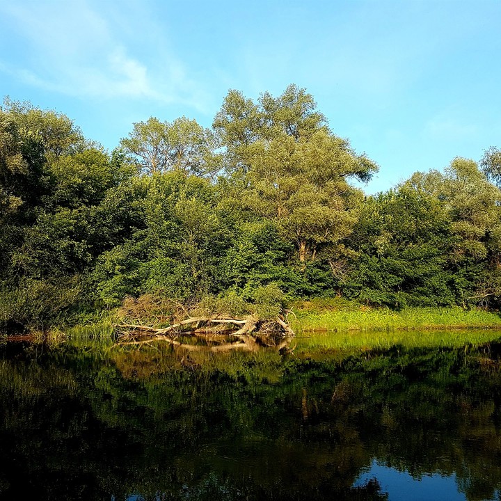 Sok river