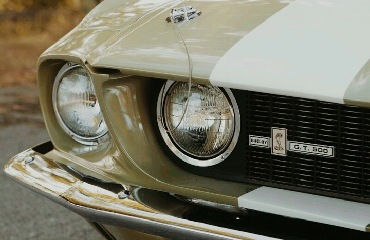G.T.500